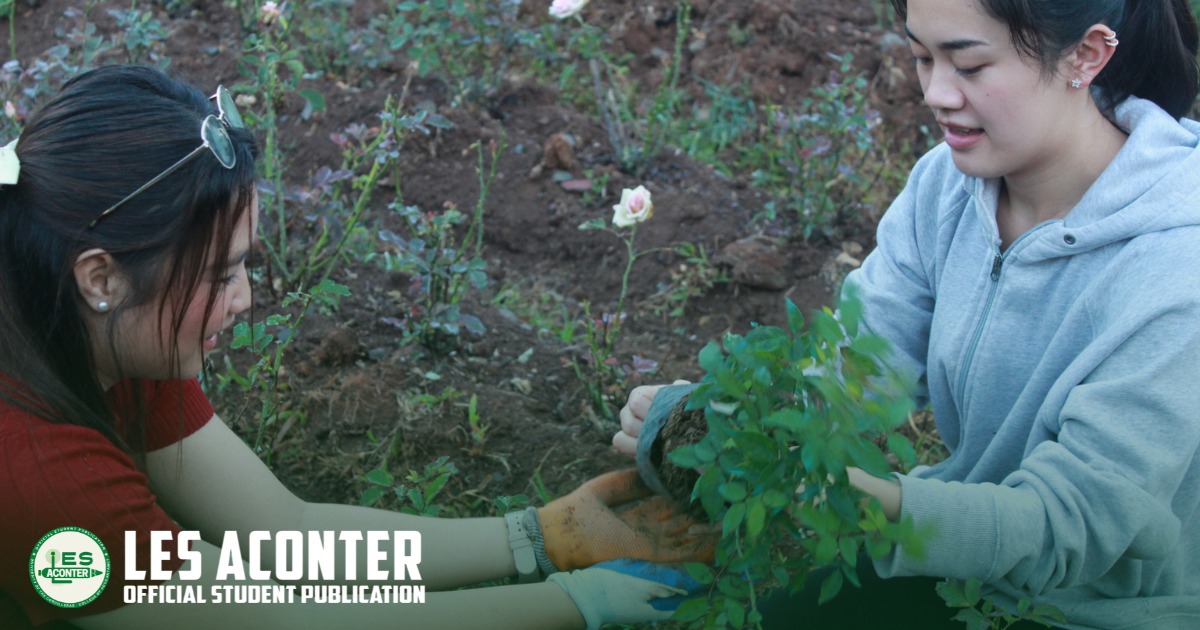 Valentine Rose Planting – Love Bloomed at Burnham Park
